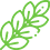 Buy Online Best Indoor Plants / Outdoor Plants